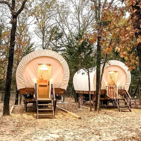 A cozy, spacious Conestoga Wagon with access to pool and hot tub, offering a unique, rustic farm stay experience at Oak Meadow Ranh RV in Valley View, TX.