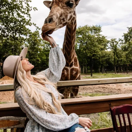 A person or couple feeding a giraffe from their accommodation, capturing the unique safari experience available onsite at Oak Meadow Ranch RV in Valley View, TX.