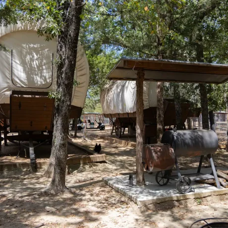 A cozy, spacious Conestoga Wagon with access to pool and hot tub, offering a unique, rustic farm stay experience at Oak Meadow Ranh RV in Valley View, TX.