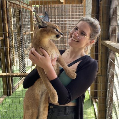 Guests on a safari tour, viewing exotic animals like giraffes, creating a unique wildlife experience at the ranch at Oak Meadow Ranh RV in Valley View, TX.