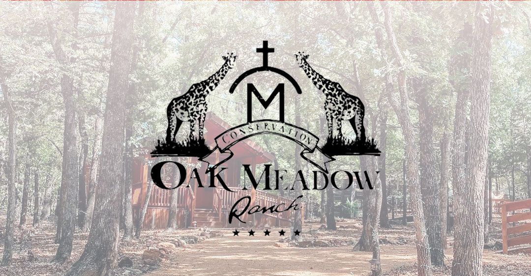 Oak Meadow Ranch RV Resort RV park in Valley View, TX (photo 1)